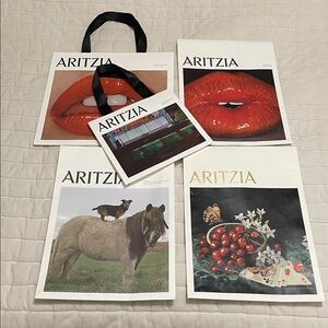 Aritzia Shopping and Packaging Bags Bundle